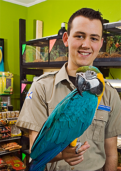 Auxiliar comercial de pet shop y veterinaria