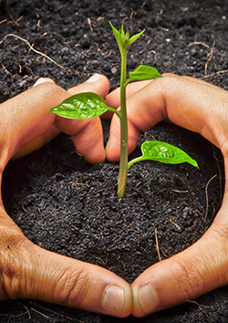 Especialista en cuidado ambiental