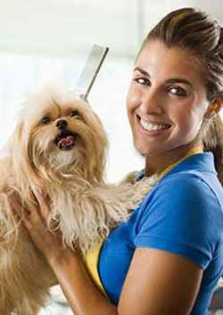 T�cnico en animales de compan�a