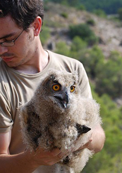 T�cnico en animales silvestres