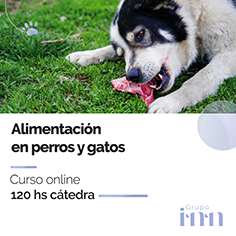 Curso online Alimentacion en perros y gatos