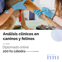 Curso online analisis clinicos veterinarios