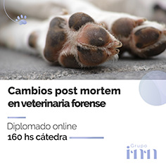 Diplomado online en Cambios Post Morrtem Veterinarios