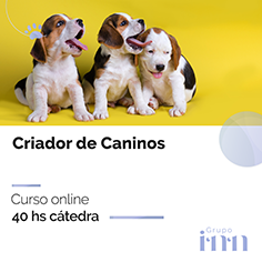 Curso online Criador de Caninos