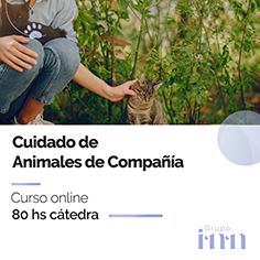 Curso online Cuidado de animales de compa�ia