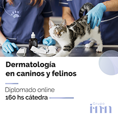 Dermatologia veterinaria online