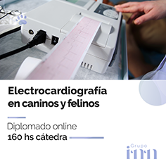 Diplomado online en electrocardiografia veterinaria