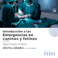 Diplomado online en emergencias veterinarias