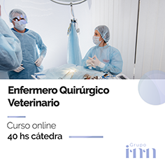Curso online Enfermero Quirurgico Veterinario