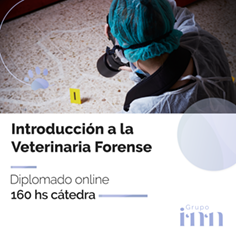 Diplomado online en veterinaria forense