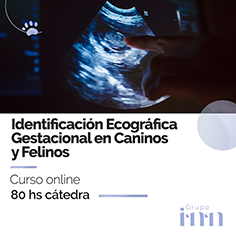 Curso online Identificacion ecografica gestacional