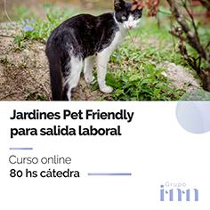 Curso online Jardines Pet Friendly