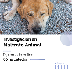 Diplomado online en maltrato animal