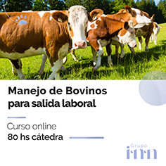 Curso online Manejo de Bovinos