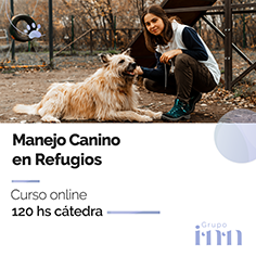 Curso online Manejo canino en refugios