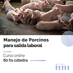 Curso online Manejo de porcinos