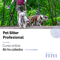 Curso online Pet Sitter profesional