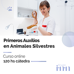 Curso online Primeros auxilios en animales silvestres
