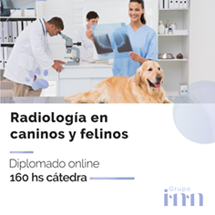 Radiologia veterinaria online