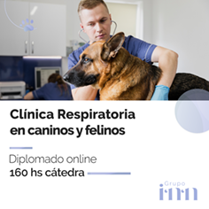 Diplomado online en Cl�nica Respiratoria veterinaria