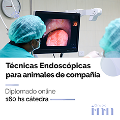 Diplomado online en t�cnicas endoscopicas veterinarias