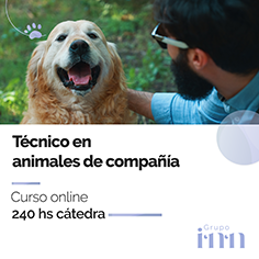 Curso online T�cnico en animales de compa�ia