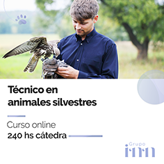 Curso online Tecnico en animales silvestres