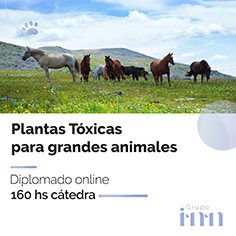 Diplomado online plantas toxicas para grandes animales