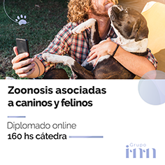 Diplomado en zoonosis en caninos y felinos